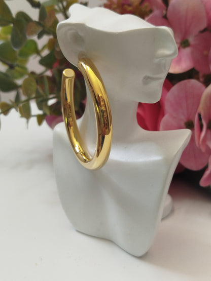 Boucles d'oreilles LYSI