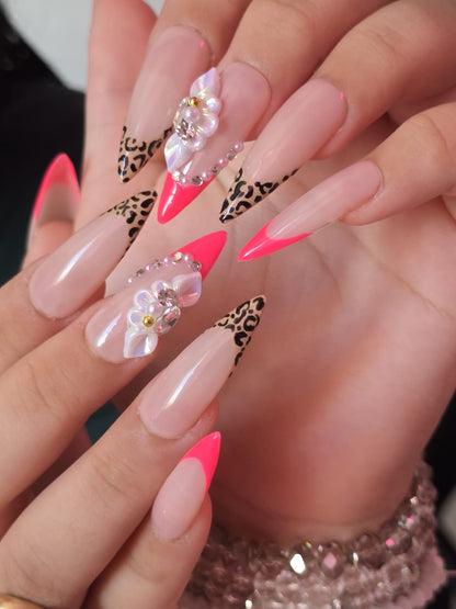 Album Press on Nails