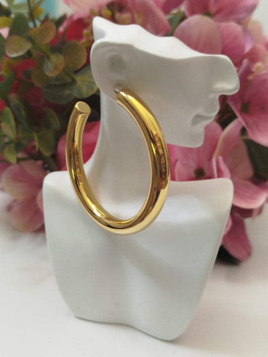 Boucles d'oreilles LYSI